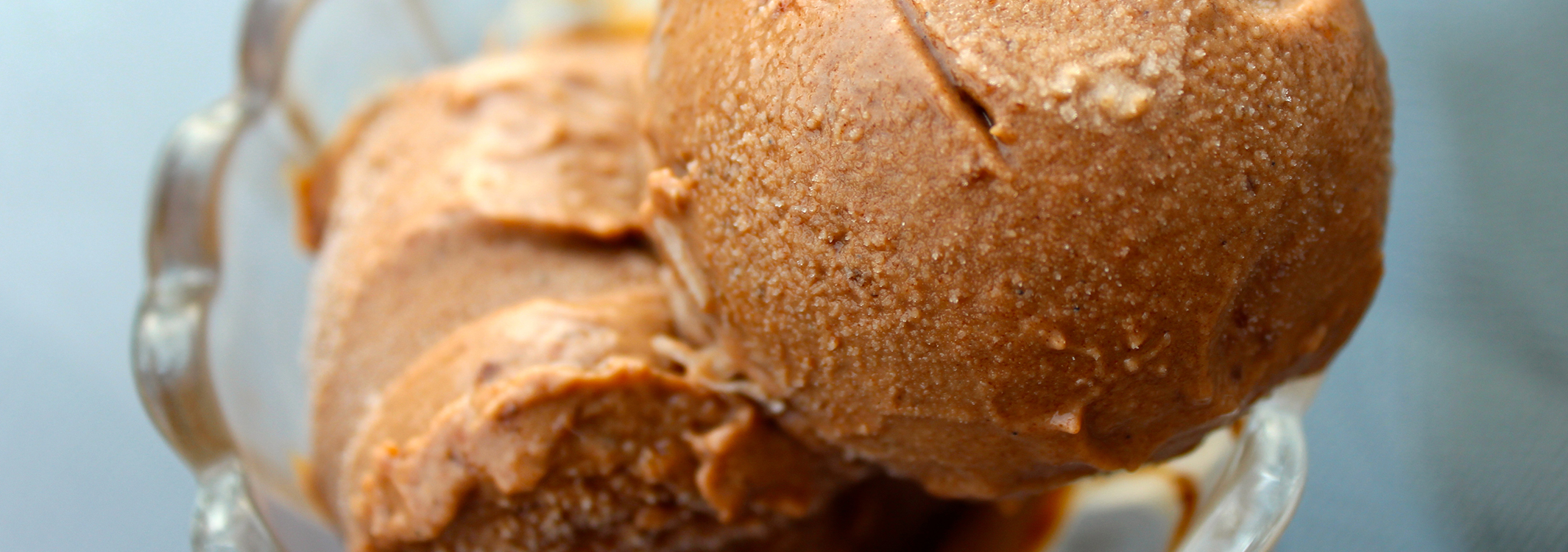 chocolate-coconut-icecream